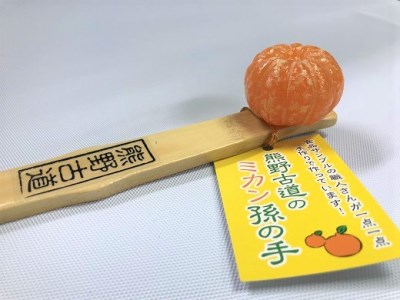 熊野古道の ミカン孫の手 映画「イチケイのカラス」に登場！【mrm0113】
