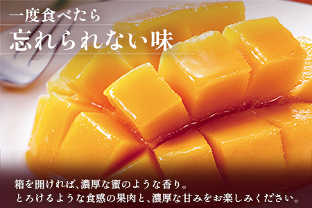 2027年出荷 数量限定 清緑香園 完熟マンゴー 3L×2玉 宮崎県産 果物 フルーツ C233-27