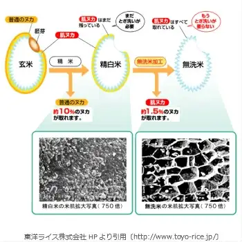 BG無洗米コシヒカリ 5kg×3回 定期便【隔月】【令和7年産 2ヶ月に1回 配送 6ヶ月 計15kg 半年間 島根県産 愛を米 米 こしひかり 新生活応援 お試し 節水 時短 アウトドア キャンプ 東洋ライス おすすめ 島根県 安来市】【45-SS-16】