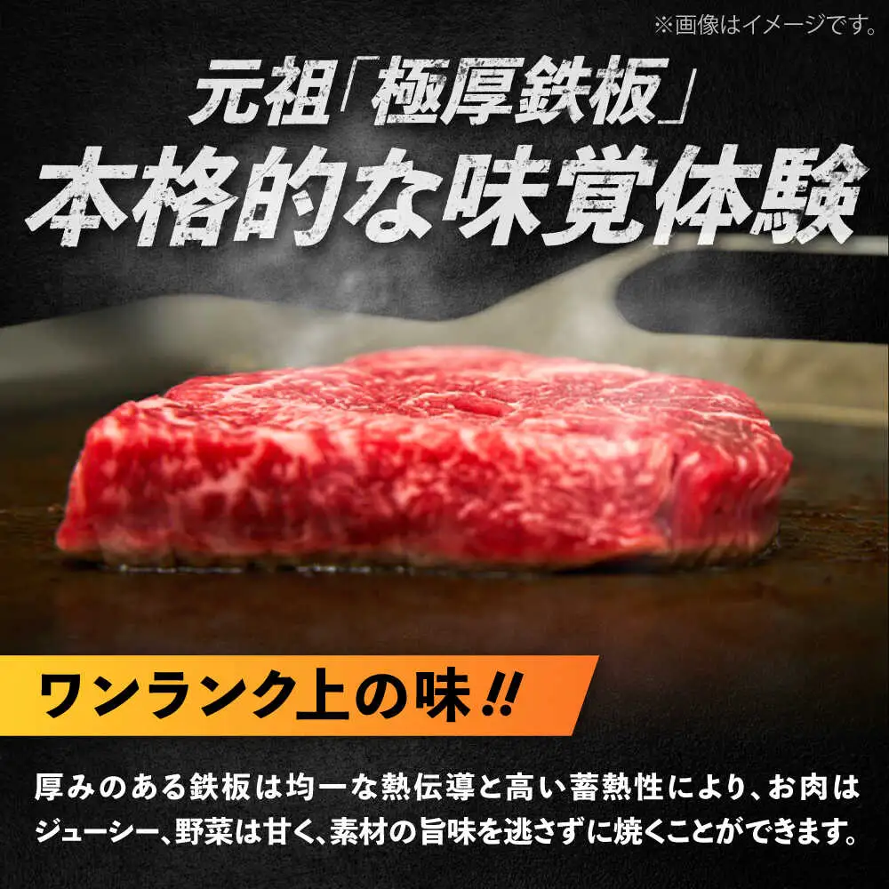 【極厚鉄板】TMS-90 鉄板 9mm BIBA002 キャンプ バーベキュー アウトドア BBQ