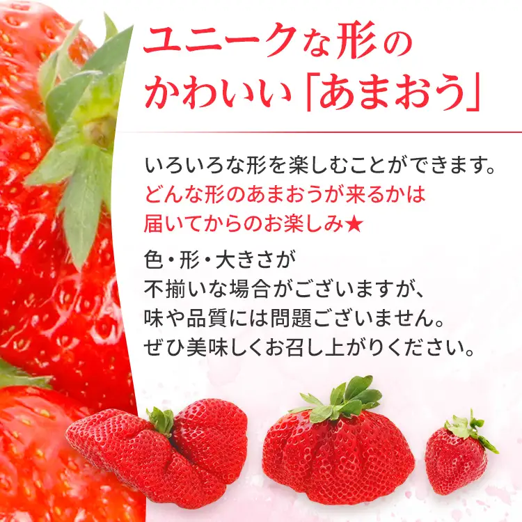 いちご あまおう 約250g×4P 計1000g 【2027年1月～4月に順次出荷予定】いちご CB223