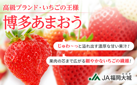 【アフター保証】先行予約 いちご あまおう 1080g（約270g×４パック）【2月上旬から順次発送】 AG010
