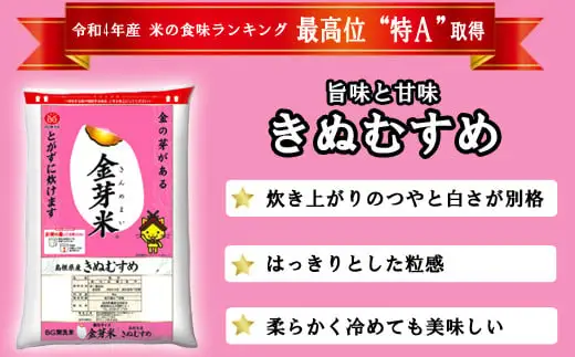 【定期便】BG無洗米・金芽米きぬむすめ 2kg×6ヵ月 （毎月）計量カップ付き【令和7年産 6ヶ月 時短 健康 米 BG 無洗米 計12kg 精米 半年間 島根県産 節水 時短 アウトドア キャンプ 東洋ライス おすすめ 島根県 安来市】【42-SS-24】