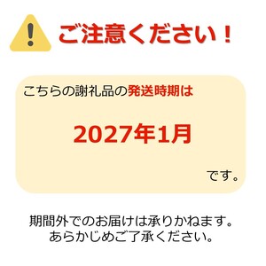 【2027年1月発送】ご家庭用訳ありリンゴ（サンふじ）約10kg_H085(R8)-3