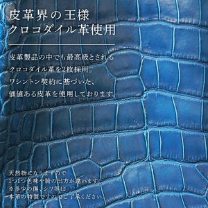 ビーゴ（トートバッグ）（クロコダイル革・ブルー系）　BK049