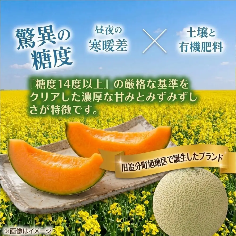 <数量・期間限定> メロン 糖度16度以上 2.0kg以上 ×2玉 4kg おいわけメロン 赤肉メロン スイーツ デザート 果物 国産 北海道 安平町 プレゼント 贈答 ギフト