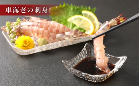 原点の車海老 ｢急速冷凍｣ 600g (18～24尾) 300g×2パック 【2026年10月上旬より順次発送予定】
