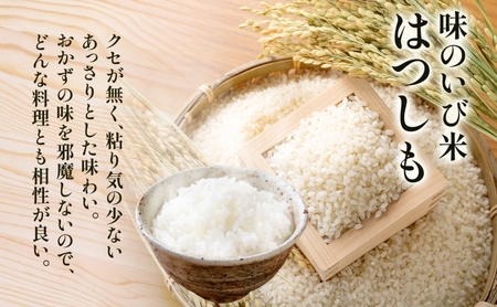 はつしも 味のいび米 幻の米 大粒 ブランド米 はつしも【10kg】【定期便全3回】
