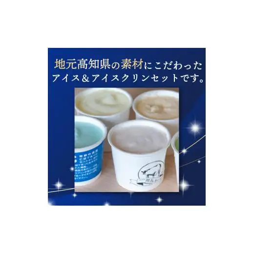 アイスクリーム12個_菓子・スイーツ アイス・ジェラート _【ME0391】