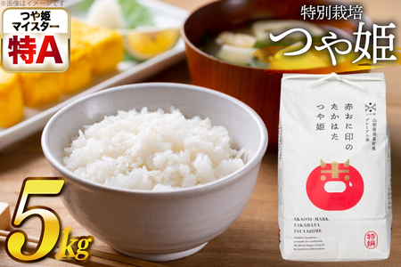 米 令和7年産 特別栽培米 赤おに印 つや姫 5kg