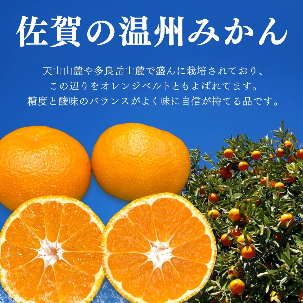 【先行受付 令和8年11月下旬より発送】佐賀温州みかん(1箱 4.5kg)(H072107)