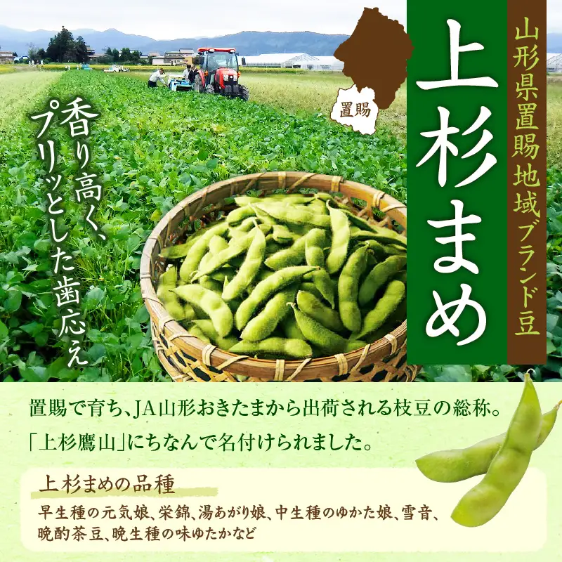 先行予約 令和8年産 枝豆 上杉まめ 250g×8袋 品種お任せ 枝豆