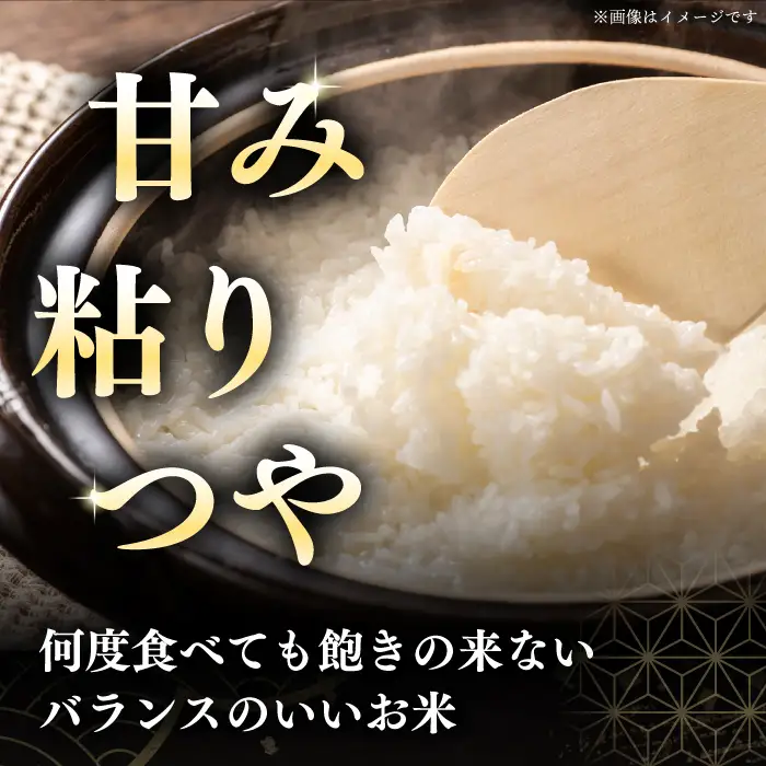 【6ヶ月定期便】　無洗米 令和7年産 令和8年産 ななつぼし さくら米 5kg 無洗  [AXAB009]