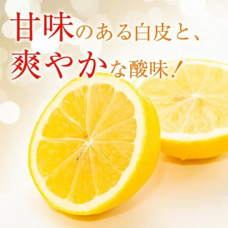 先行予約 訳あり みかん 宮浦産 日向夏 10kg 2027年 令和9年発送 フルーツ 果物 くだもの 柑橘_CD97-26