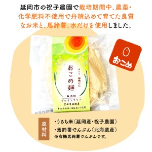 【グルテンフリー】無添加おこめ麺100g×6袋 N0107-YA030