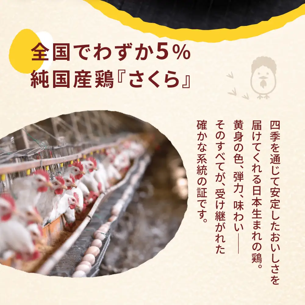 純国産鶏 さくらたまご 20個｜たまご