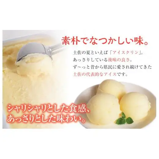 アイスクリーム業務用2L_菓子・スイーツ アイス・ジェラート _【ICE039】