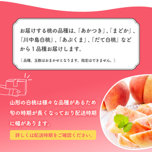 令和8年産 山形県産 白桃 2kg 品種 おまかせ 秀品 山形県産 【2026年8月上旬頃から9月下旬頃発送予定】　010-B-JA047