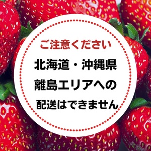 福田さんちのイチゴ(さぬきひめ) 2Lサイズ×2パック 500g以上【配送不可：北海道、沖縄県、離島エリア】苺 農園直送 いちご採れたて直送