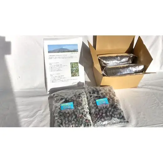 【数量限定】 冷凍ブルーベリー2kg 国産 [AD003tu]
