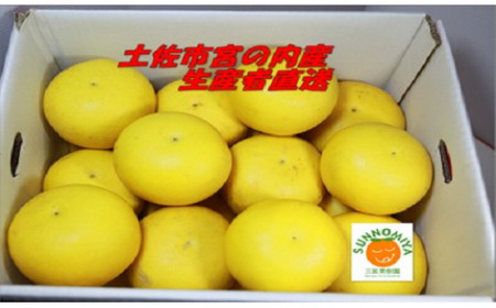 【先行予約】三宮果樹園の土佐文旦 家庭用3kg〈2027年2月14日から2027年3月15日発送〉高知県 土佐市【三宮果樹園】[BQAP003]