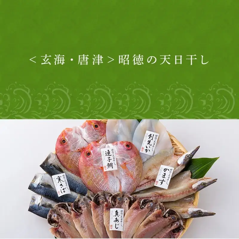 昭徳の天日干し 1枚60g~90g 全16枚(真あじ開き60g×6枚 真さば片身90g×3枚 かます開き80g×3枚 連子鯛開き180g×2枚 剣先いか開き70g×2枚)