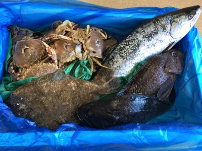 ＜新鮮・産地直送＞普代の玉手箱【魚介詰め合わせ】