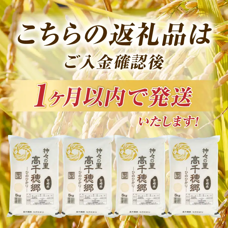 【令和7年産】JA高千穂地区 ひのひかり 20kg 高千穂産 20kg 5kg 4袋 食品 米 お米 白米 ごはん 白飯 精米 国産 宮崎県産  単一原料米 農作物 農産物 おすそ分け 普段使い 日常 炭水化物 主食 贈答 贈り物 ギフト プレゼント おすすめ 宮崎県 高千穂町 _Tk004-046