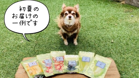 FB134_犬の無添加おやつ☆お砂糖不使用ドライフルーツ☆旬の果物６袋