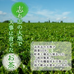 【ギフト対応】 粉末緑茶 お手軽簡単 スティックセット a4-056