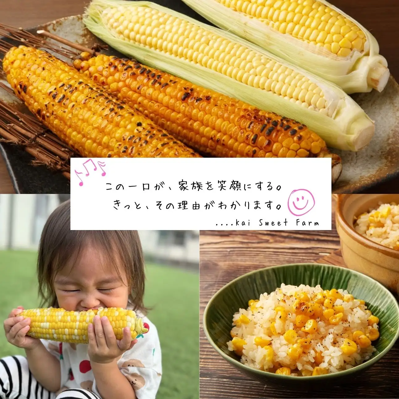 絶品！市川三郷町産甘々娘（とうもろこし）12本入り　5kg箱　【2027年6月上旬から発送】薬袋和幸農園[5839-1459]
