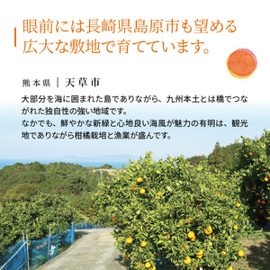S110-001_熊本県天草産　肥の豊5kg　19～20玉〈先行受付〉