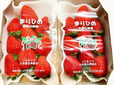 【2027年先行予約】 紀州和歌山ブランドいちご まりひめ 約280g×2P_G7348