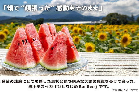 DE275 【令和9年度出荷分】 黒小玉スイカ「ひとりじめBonBon」 5kg(1.7kg以上×2~3玉) ～名水百選の里 島原産～ ◎