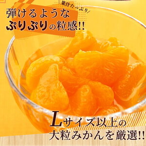 田村みかん 缶詰 12缶セット_AY6003n