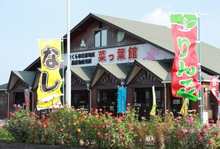【産地直送】採りたて野菜と季節の果物セット≪旬の野菜 フルーツ 詰め合わせ 栃木県産≫◇