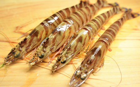 【訳アリ】活き〆急速冷凍車エビ（生食可・約400g）- 海老 車えび 車海老 冷凍 生エビ 国産 養殖 えび天 エビフライ 塩焼き 人気 沖縄県 八重瀬町