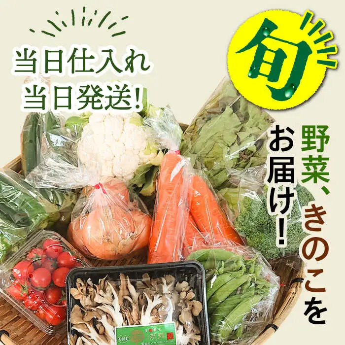 【12回】野菜定期便 11品目 野菜セット [SCZ007]