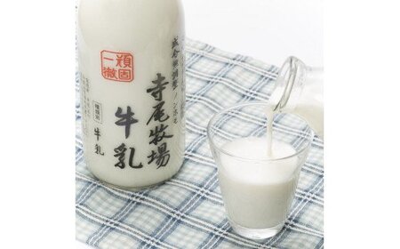寺尾牧場のこだわり濃厚牛乳（ノンホモ牛乳）2本とコーヒー1本の合計3本セット［TM157］【tec702A】