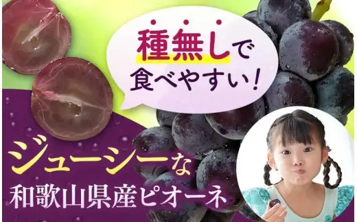 【2026年先行予約】和歌山かつらぎ町産たねなしピオーネ 約2kg ※2026年8月中旬頃より順次発送 / ピオーネ ぶどう 葡萄 和歌山 由良 旬 甘い 種なし 高級 大粒【tec500B】