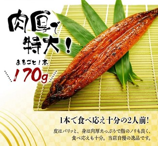 うなぎ 国産 2尾 （大型サイズ) タレ付き /  鰻  蒲焼 【uot302A-3】