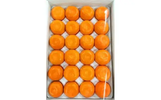 赤秀品 紀州和歌山ハウスみかん 2.5kg ※2027年6月下旬～7月中旬頃に順次発送 ※離島への配送不可 【uot735A】