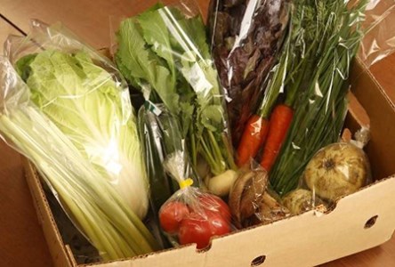 【産地直送】採りたて野菜と昔ながらの手づくり加工品セット≪旬の野菜 詰め合わせ 野菜セット 栃木県産 国産≫◇