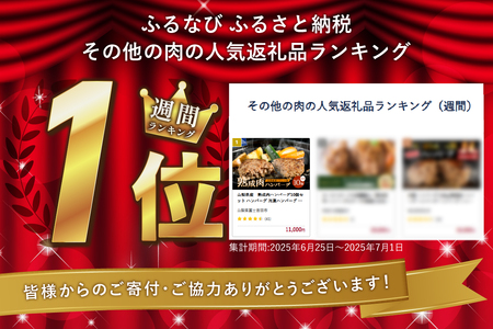 【ふるなびWEEK対象】 山梨県産 熟成肉 ハンバーグ 10個 セット 冷凍 ハンバーグ
