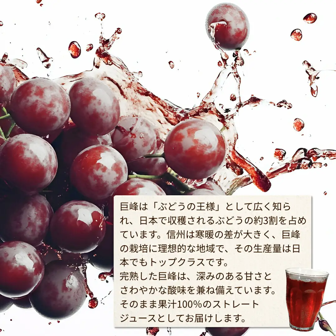 ぶどうジュース「紫宝の恵」 ストレート果汁100％ (1L×4本) 信州産 |ぶどうジュース