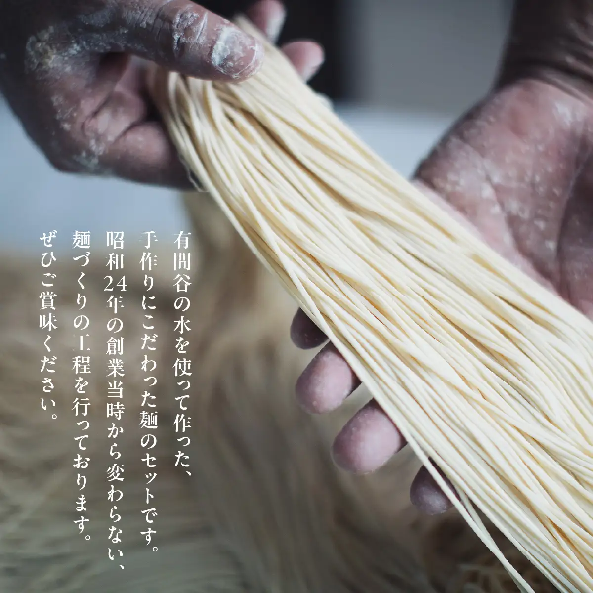 【飯能産】麺いろいろセット 10月～3月発送分 うどん そば 蕎麦 麺類 ラーメン HNNBL002