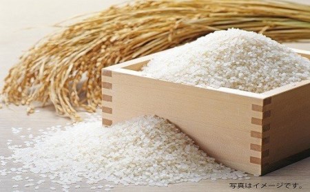 ひのひかり 令和8年産 ヒノヒカリ 無洗米3kg（2合真空パック×10袋）