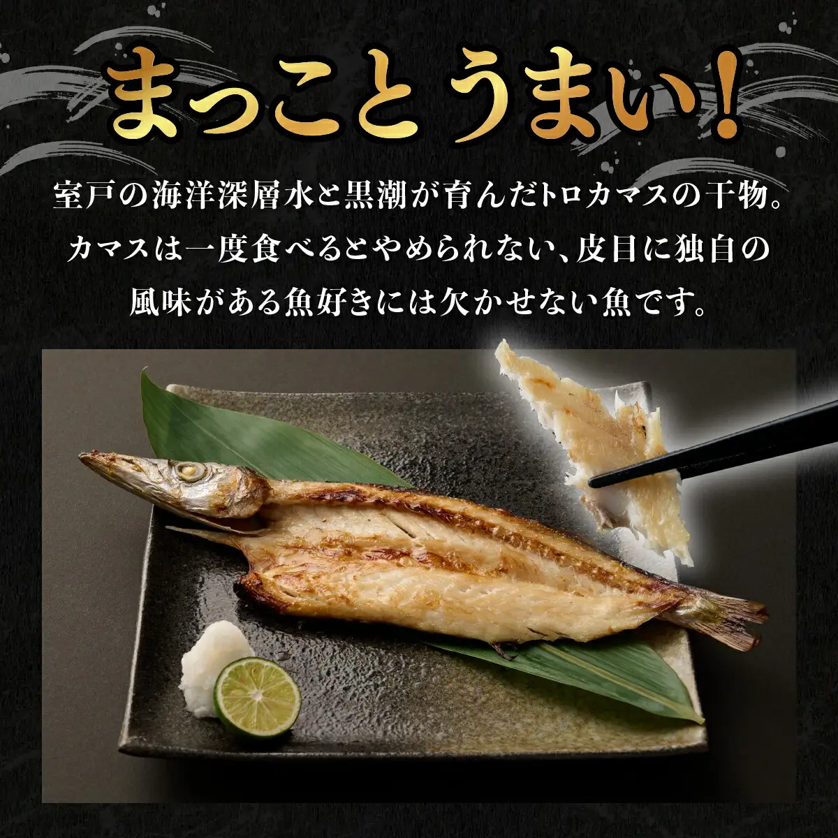 カマス 干物 10枚 国産 カマス