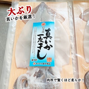北三陸産 イカの一夜干し特大 １枚入り×５袋 イカ いか イカ焼き