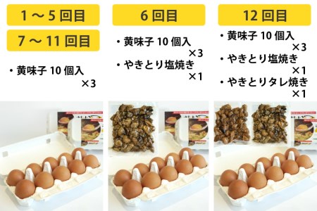CE291【定期便】島原のたまご 黄味子Ａセット 計12回お届け